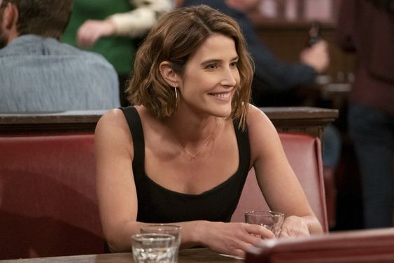 Cobie Smulders returns as Robin Scherbatsky in \'How I Met Your Father\' season 1 finale