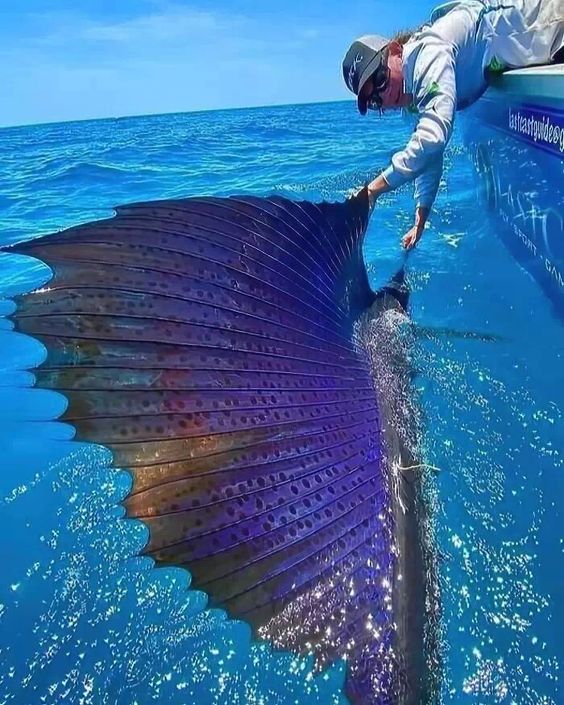 35 photos qui prouvent que la Nature peut se montrer aussi magnifique qu\'effrayante