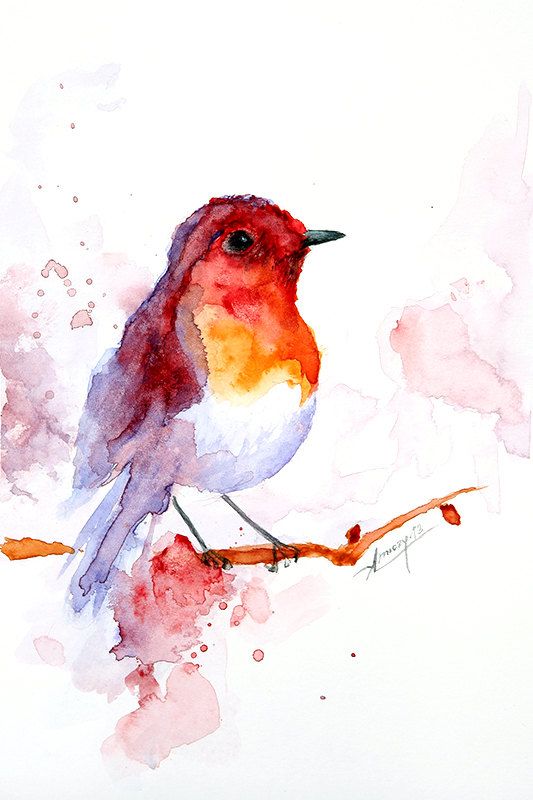 The 439 Best Oiseaux Images On Pinterest