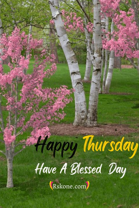100+ Happy Thursday Images, Quotes Β» Rskone.com