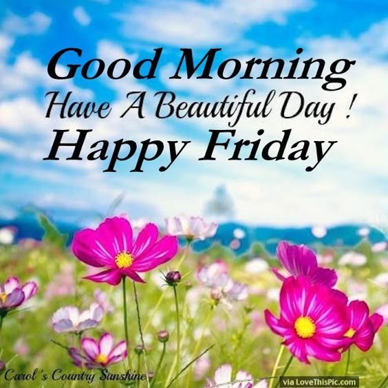 70+ Most Popular Happy Friday Quotes