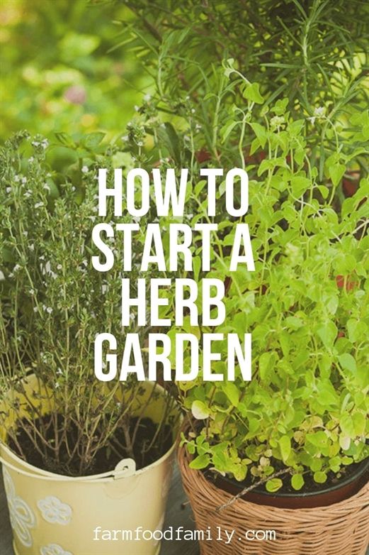 Organic Gardening Shop Uk Organic Gardening Supplies Tyler Tx