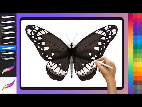 كيفية رسم فراشة كبيرة رسم تعليم الفنون الجميلة للمبتدئين Youtube Draw