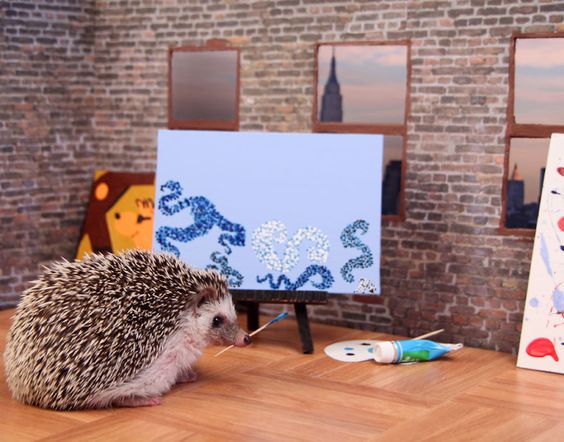 The Adventures Of Humphrey J Hedgehog | Bored Panda