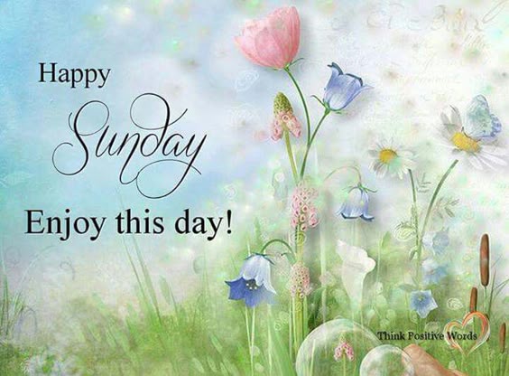Happy Sunday, Enjoy This Day!