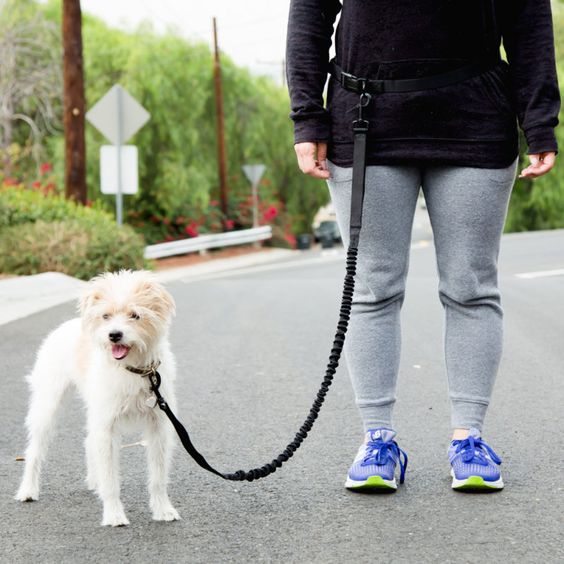 Hands Free Army Green Bungee Dog Leash With Waist Belt Dog Leash Leashes Puppy Training