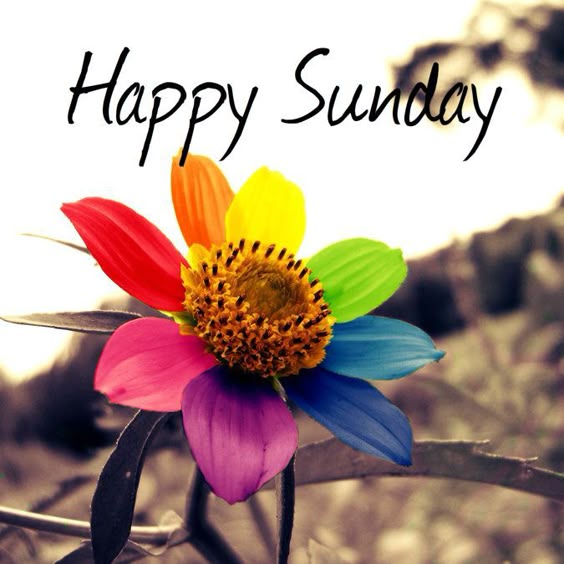 happy-sunday