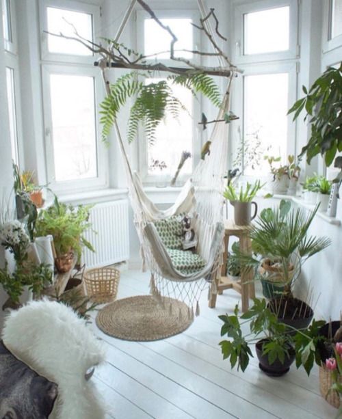 living space with a hammock surrounded with plants #gardenIdeas #garden #gardening #plants #homeDecor #indoor