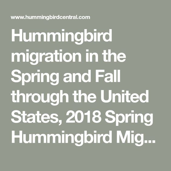 Ruby Throated Hummingbird Migration Map Spring 2018 With Images Monarch Butterfly Migration Butterfly Migration Hummingbird Migration
