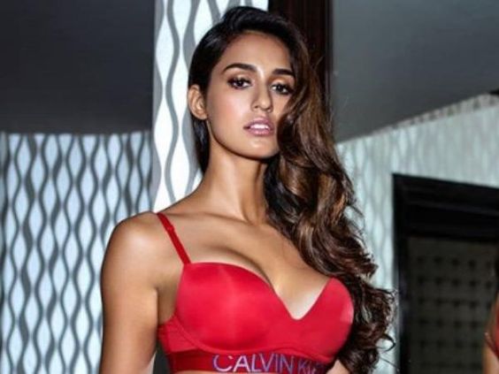 Bollywood Actress Disha Patani Lifestyle And BioGraphy 2020| Movies, Radhe, Salman Khan, Net Worth