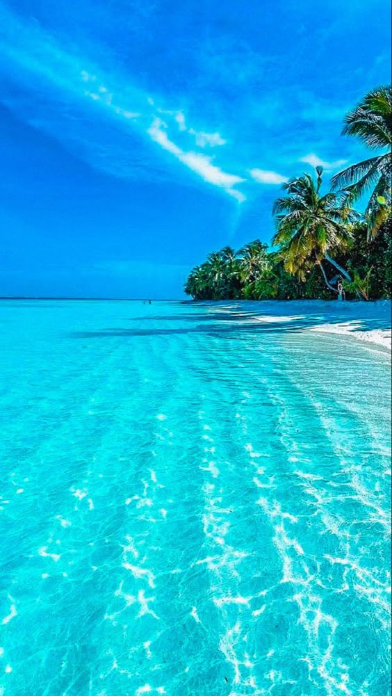 15 Best Tropical Vacations