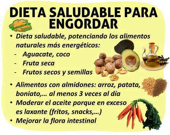 Comer no engordar para evitar que debemos