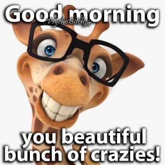 good-morning