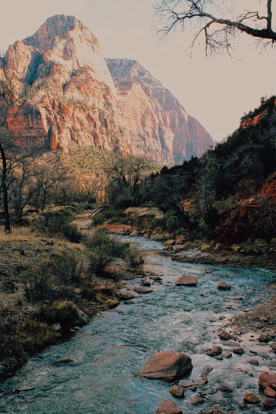 The Best US National Parks Road Trip