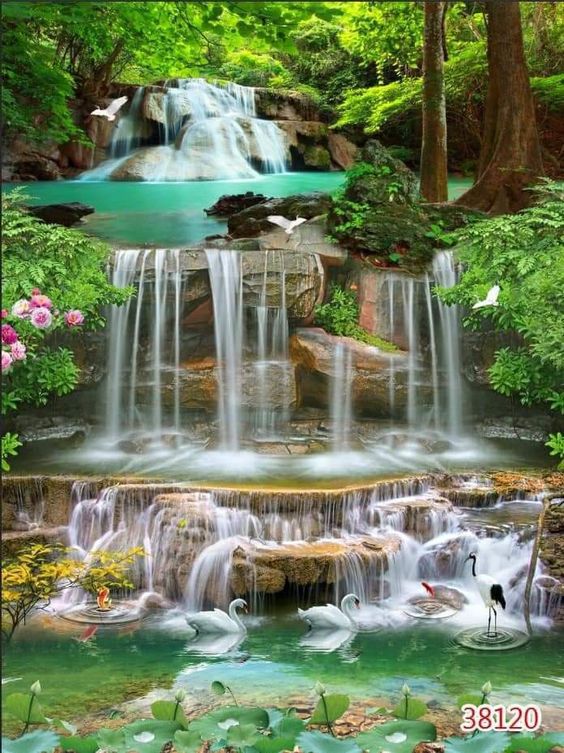 Natural Wonders