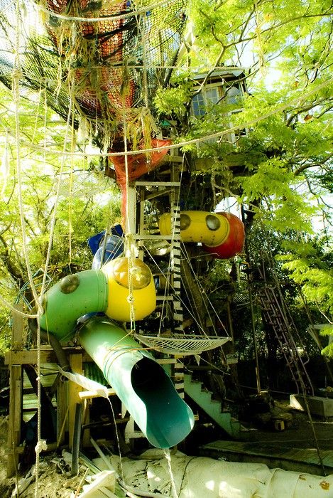 coolest tree fort ever!!! i wish i had this!