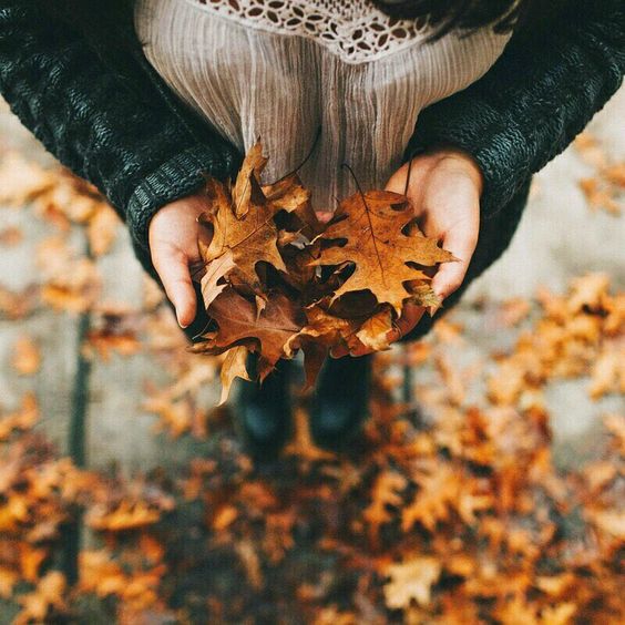 This is what I need at this exact moment #leaves #fall #autumn #orange #chilly #fallfeels #mood #vibes #hurryautumn #tuesdaymorning #tuesdaymotivation #want #notmine