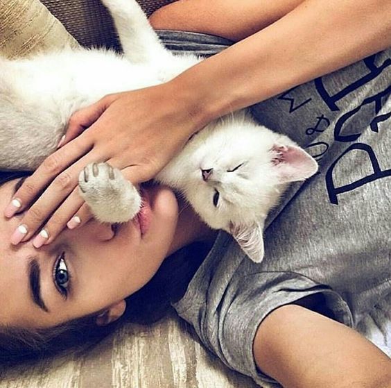 Top 10 Most Popular Girl Cat Names And A Few More Ideas Cattime Girl Cat Names Cat Names Cat Photography