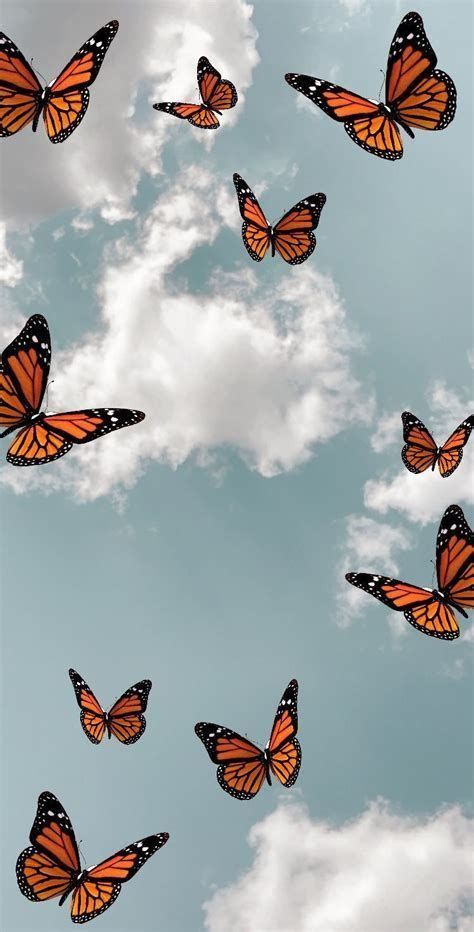 Brillantes Fondos De Pantalla Bonitos De Mariposas | Mariposas fondos de pantalla, Fondo de pantalla de margarita, Fondos bonitos para iphone