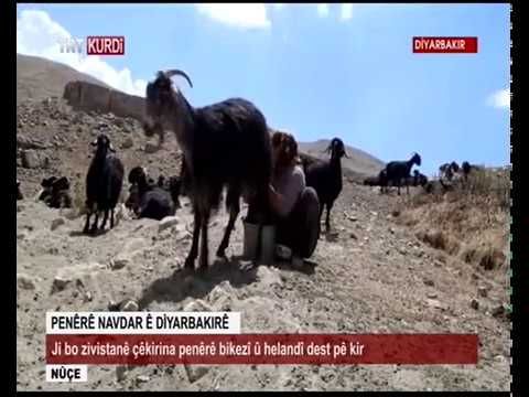 Diyarbakir Peyniri Nasil Yapiliyor Youtube Youtube Musica Diyarbakir Peyniri Nasil Yapiliyor Youtube Youtube Musica