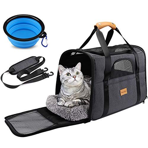 Sac Transport Chat Sac Transport Chien Respirant Et Pliable Caisse De Transport Chat Avec Bandouliere Reglable Cage Tout Pour Votre Autos Sac Transport Chien Sac Transport Chat Transport Chat Sac Transport Chat Sac Transport Chien Respirant Et Pliable Caisse De Transport Chat Avec Bandouliere Reglable Cage Tout Pour Votre Autos Sac Transport Chien Sac Transport Chat Transport Chat