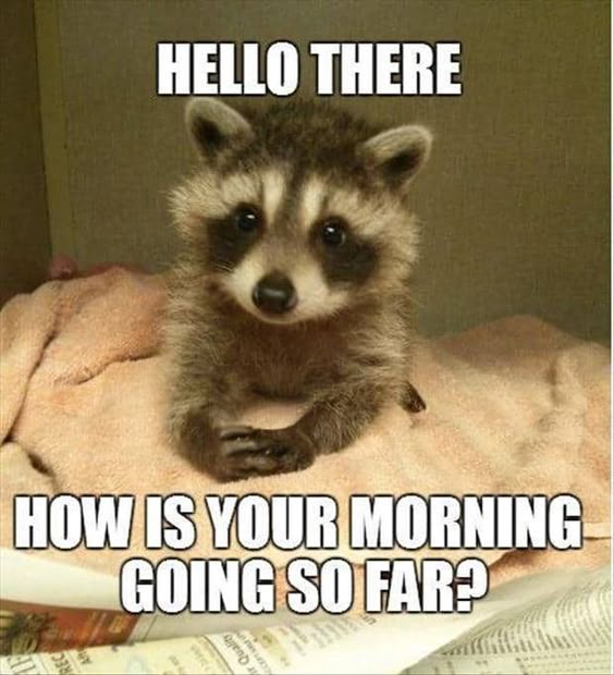 80 Good Morning Memes To Kickstart Your Day - SayingImages.com