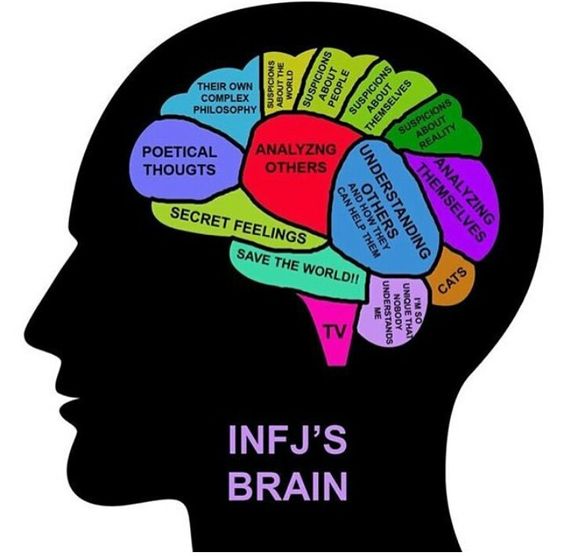 INFJ's brain. Replace cats with love of animals...It's an interesting arrangement. When you see yourself in it, it really confirms your type test results! It's a telling illustration...