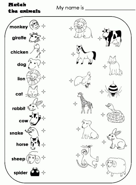 8 Match Word To Animal Kindergarten Worksheet Animal Worksheets Preschool Worksheets English Worksheets For Kindergarten