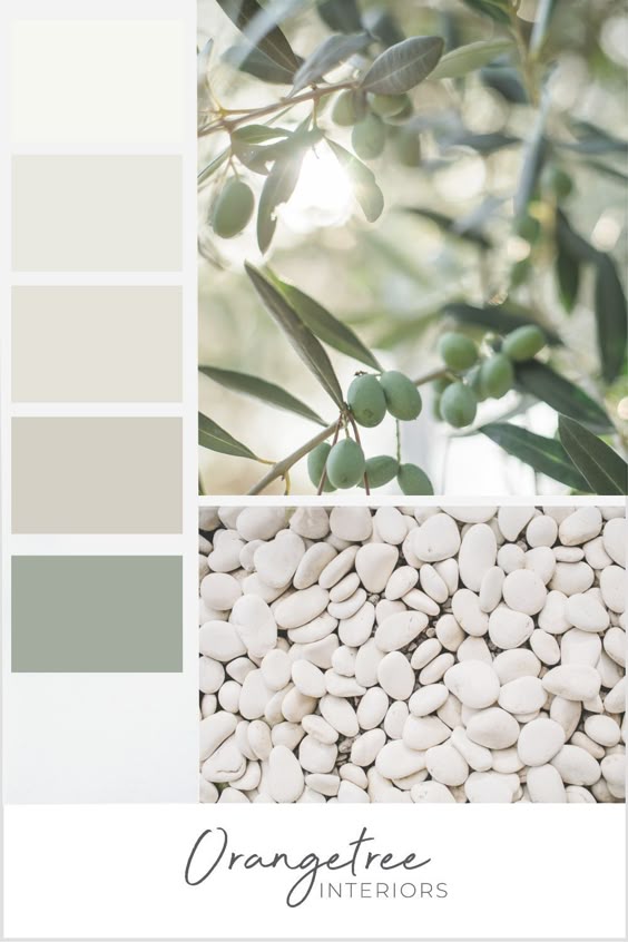 Neutral and Green Paint Colour Scheme