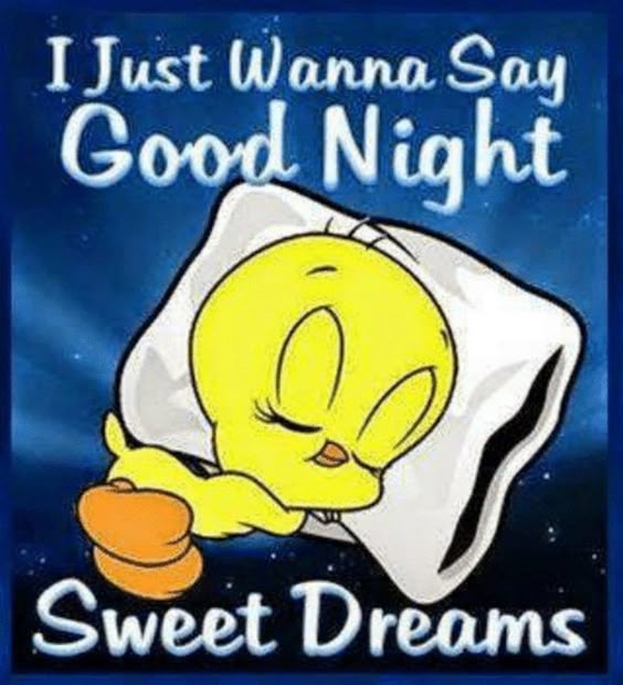 101 Good Night Memes for When You Want Funny Goodnight Wishes