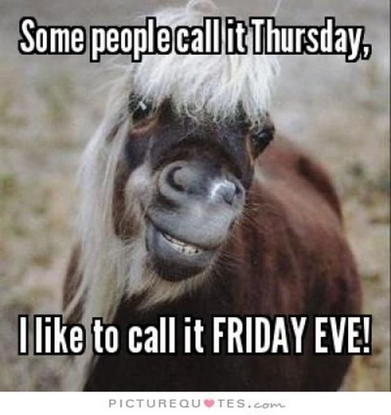 101 Funny Thursday Memes That Work Day and Night to Make You Happy