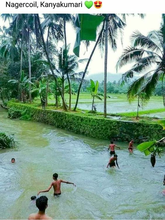 good-morning-kerala-nature-photos