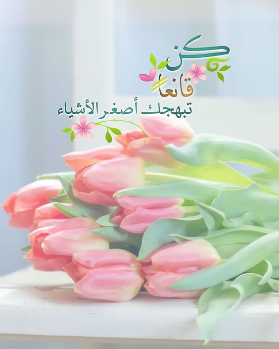 Pearla0203 On Instagram ك ن قانع ا ت بهجك أصغ ر الأشياء ㅤㅤㅤㅤㅤㅤㅤㅤㅤㅤㅤㅤㅤㅤㅤㅤㅤㅤㅤㅤㅤ مساؤكم Flower Phone Wallpaper Islamic Messages Islamic Wallpaper