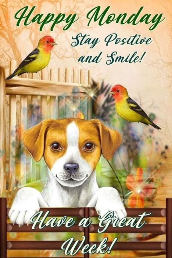 15 Happy Monday Blessing Quotes