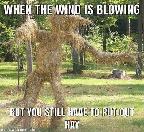Funny Friday Pictures 42 Pics Funny Pictures Baby Memes Funny