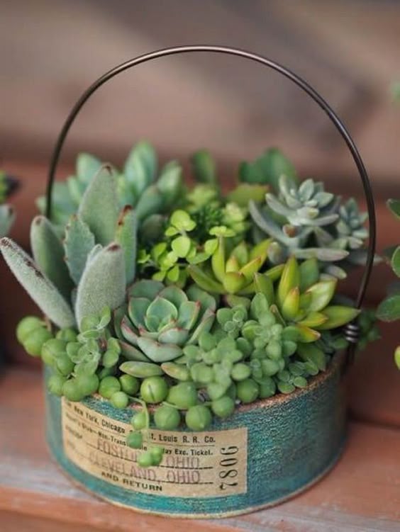 Ideas para hacer pequeños terrarios - Manualidades #suculentas #macetas #reciclaje #terrarios