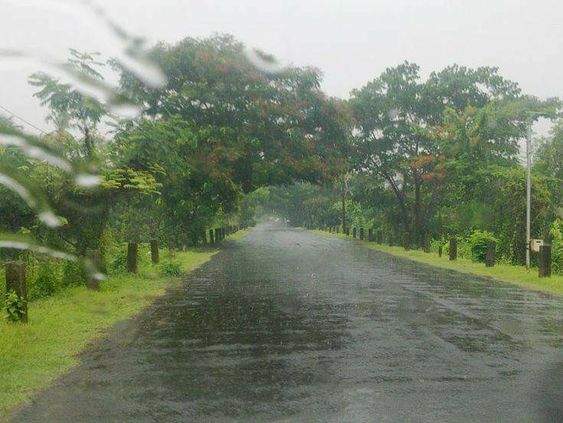 good-morning-kerala-nature-photos