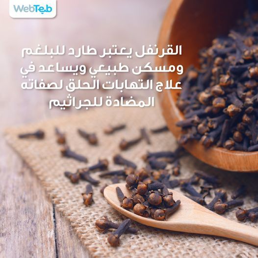 Pin By To Understand The Meaning Of L On What Does Life Mean What Is Life About Food