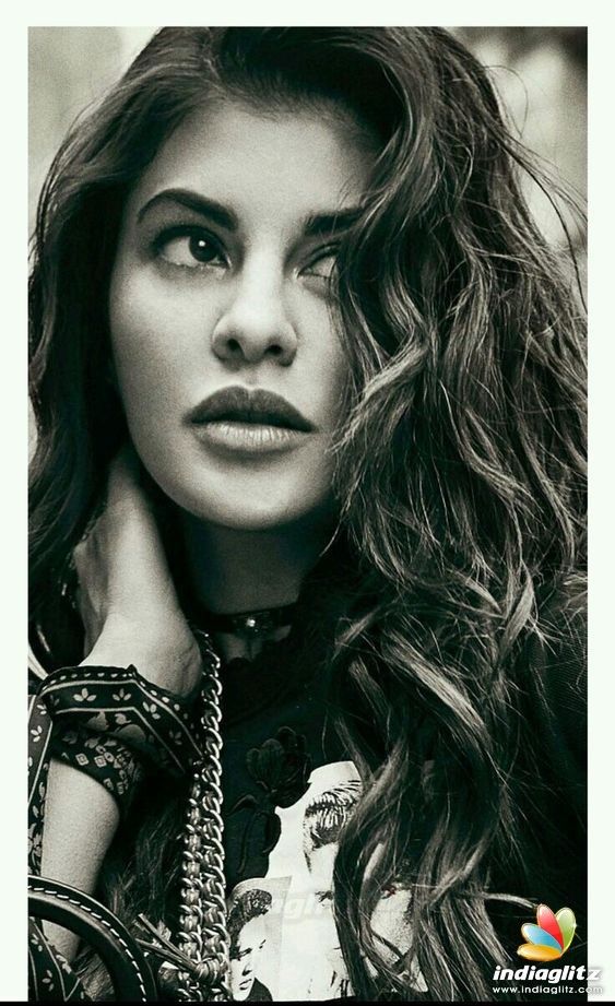 Jacqueline Fernandez Photos - Bollywood Actress photos, images, gallery, stills and clips - IndiaGlitz.com