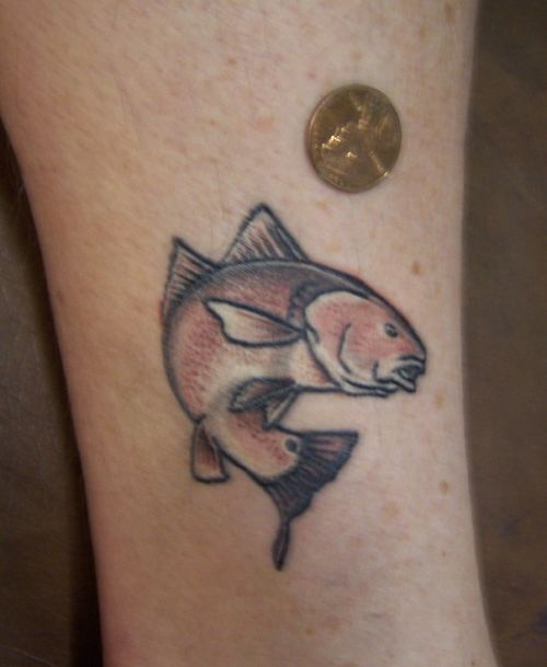 redfish tattoo animals u0026 pets pinterest tattoo redfish tattoo animals u0026 pets pinterest tattoo