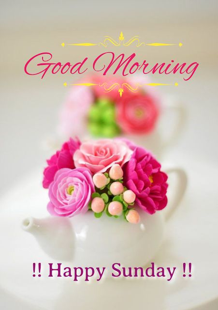 100+ Good morning best Quotes and Images