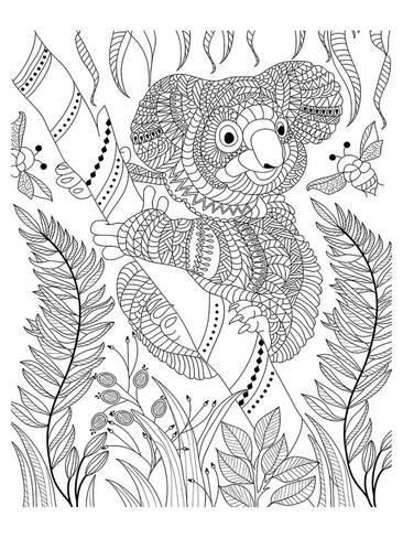 Free Printable Koala Coloring Pages For Kids Bear Coloring Pages Koala Drawing Animal Coloring Pages