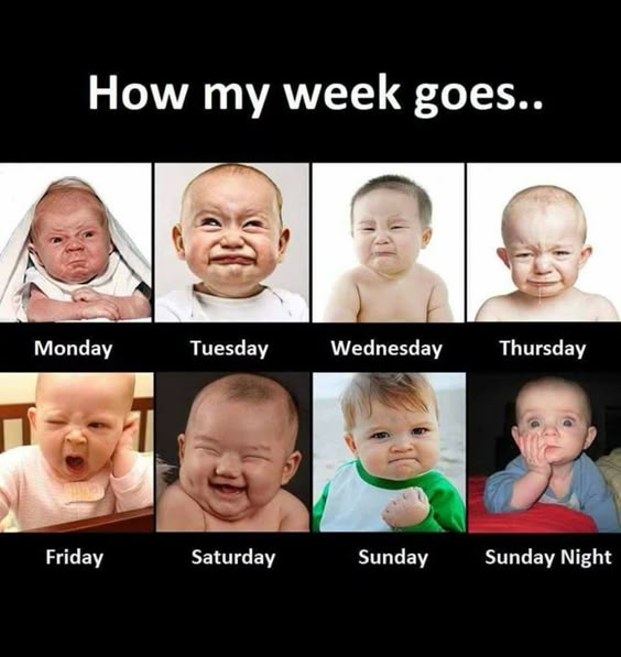 How my week goes...