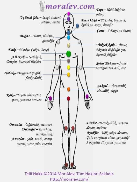 Cakralar Cakralar Cakra Meditasyonu Refleksoloji Cakralar Cakralar Cakra Meditasyonu Refleksoloji