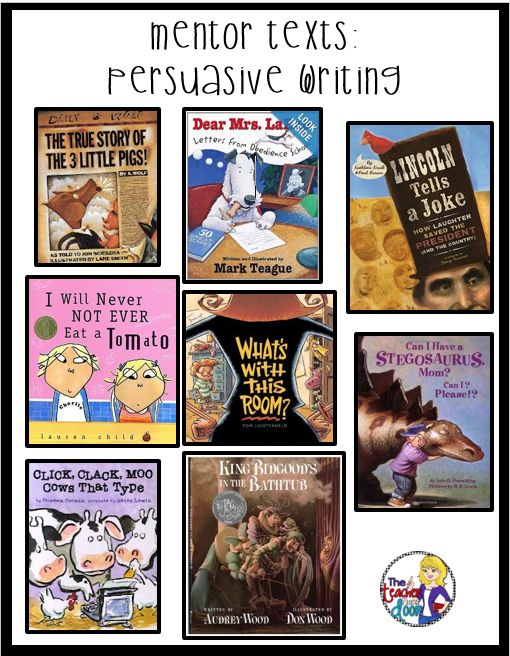 tips on how to write a persuasive essay