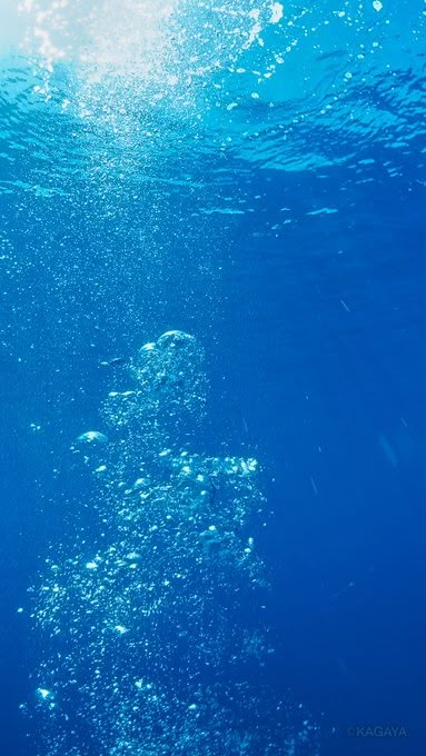 写真系 おしゃれまとめの人気アイデア Pinterest Ume 夏 風景 ウォーターアート 海 壁紙 写真系 おしゃれまとめの人気アイデア Pinterest Ume 夏 風景 ウォーターアート 海 壁紙