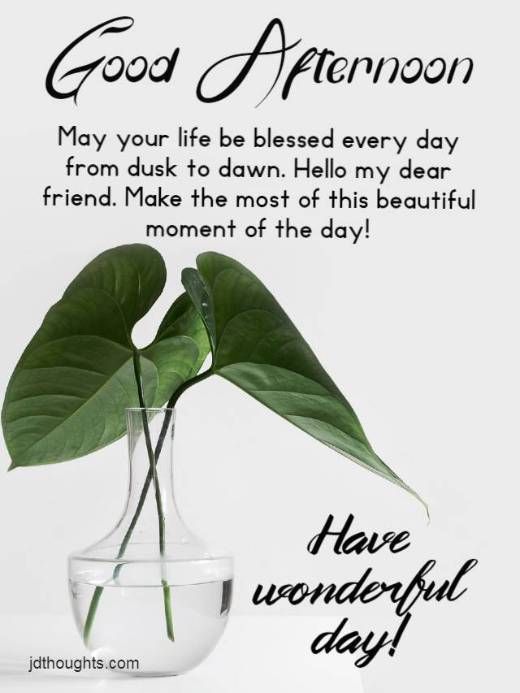 Good afternoon message for him: quotes and wishes with images - Jdthoughts  | Yoga | Interior design |… | Good afternoon quotes, Afternoon messages,  Afternoon quotes