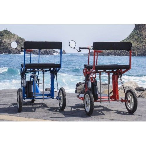 Folding Electric Tricycle Scooter Electric Tricycle Tricycle