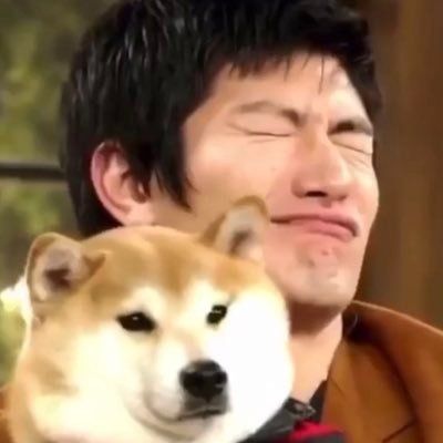Pin On Miura Pin On Miura