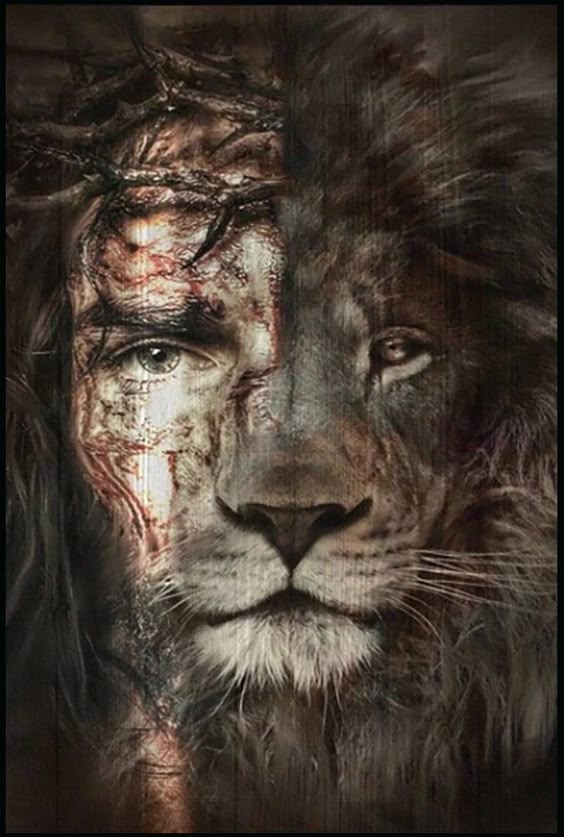 "Nice full color Jesus, crown of thorns, lion juxtaposed picture for wall display. Sign Details: All Signs are Brand New. * Measures 12\\" x 8\\" * Amazing Colors, UV Coated. * Quality .025 Gauge Aluminum Plate. * High Resolution Image. * Light Gloss Finish. * Waterproof & Rustproof. * Great piece to Accent an Area or Make a Statement. * USA made, shipped direct. Not a cheap China import, no \\"scalping\\" from third party platforms."